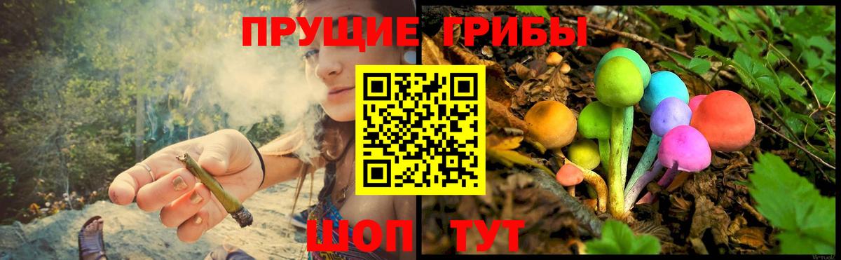 Псилоцибиновые грибы прущие грибы  Галлюциногенные грибы MAGIC MUSHROOMS  Родники  Вход с VPN 